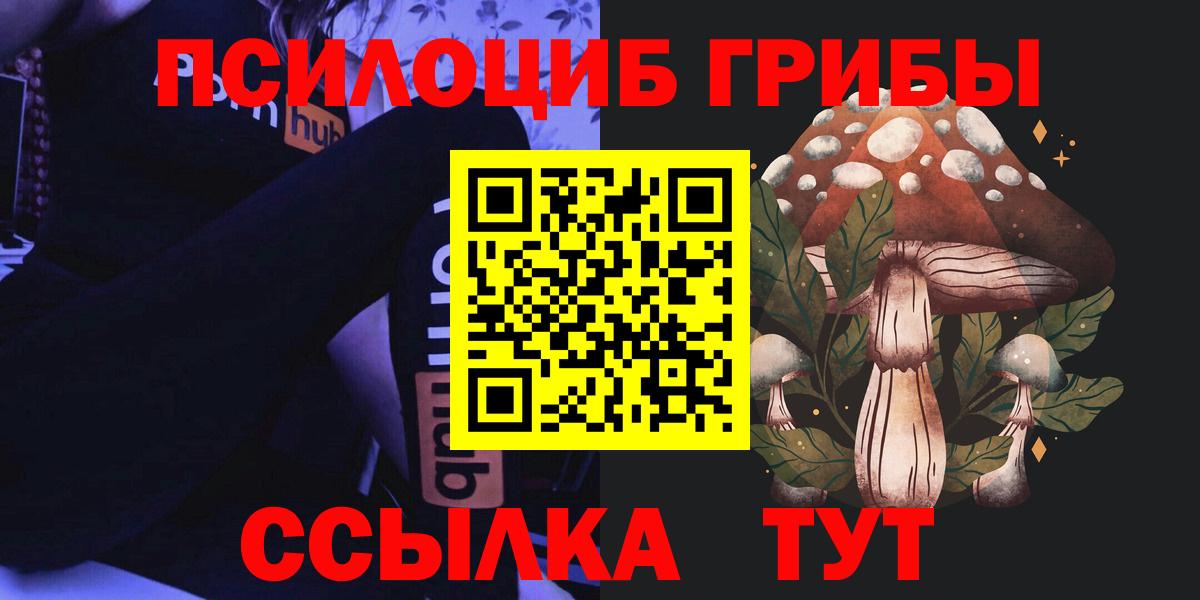 Псилоцибиновые грибы GOLDEN TEACHER Вологда