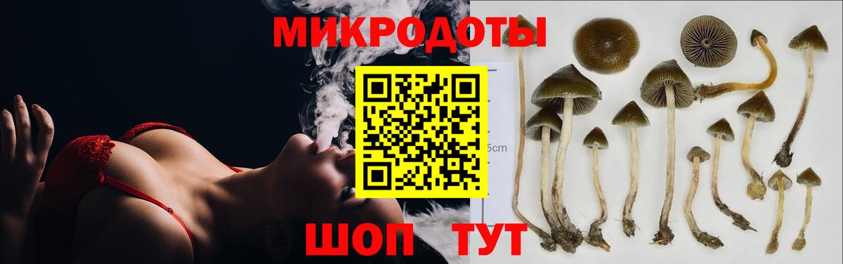 Псилоцибиновые грибы MAGIC MUSHROOMS  Вход с VPN  Вологда  Галлюциногенные грибы Magic Shrooms 